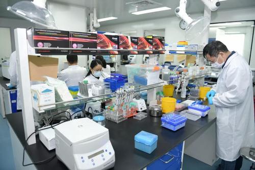 上?？萍键h建 全力以赴 爭分奪秒加強科技攻關(guān) 李強調(diào)研生物醫(yī)藥企業(yè),要求加快抗疫產(chǎn)品研發(fā) 應(yīng)用 生產(chǎn)